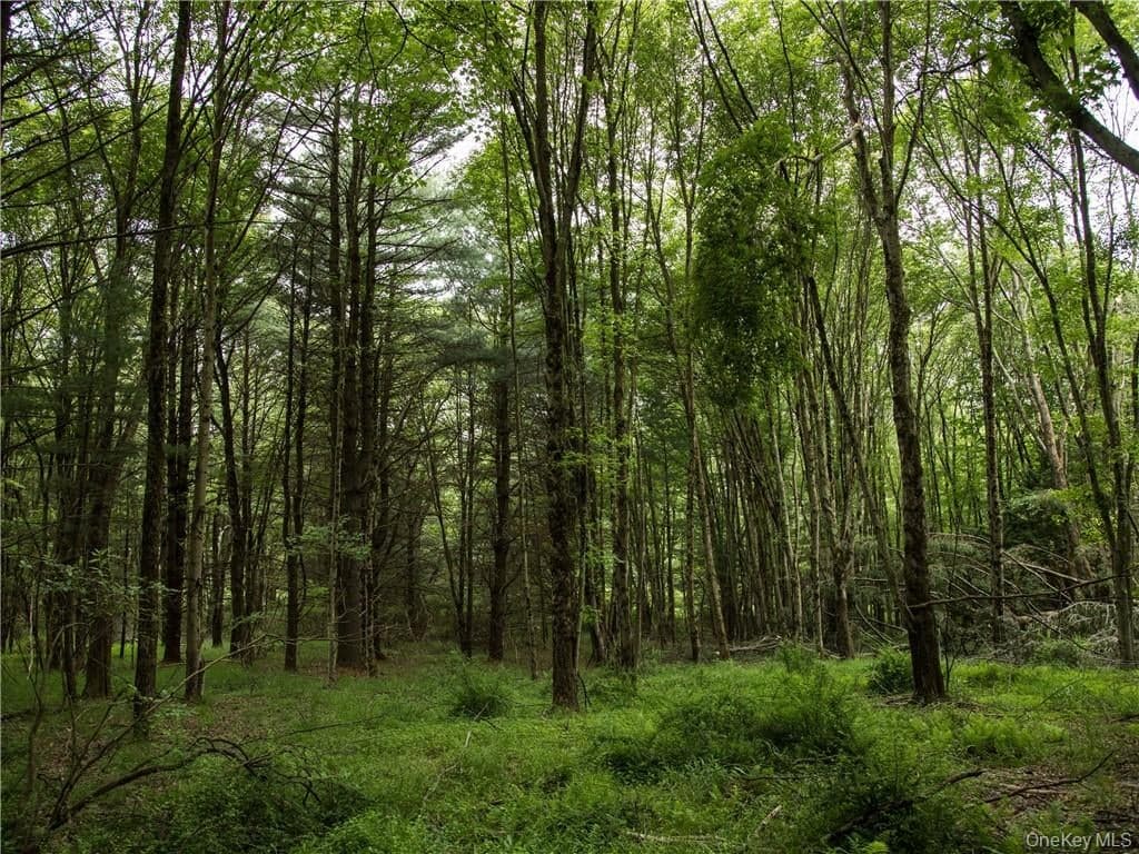 Lot 4 Chapin Trail thumbnail 4