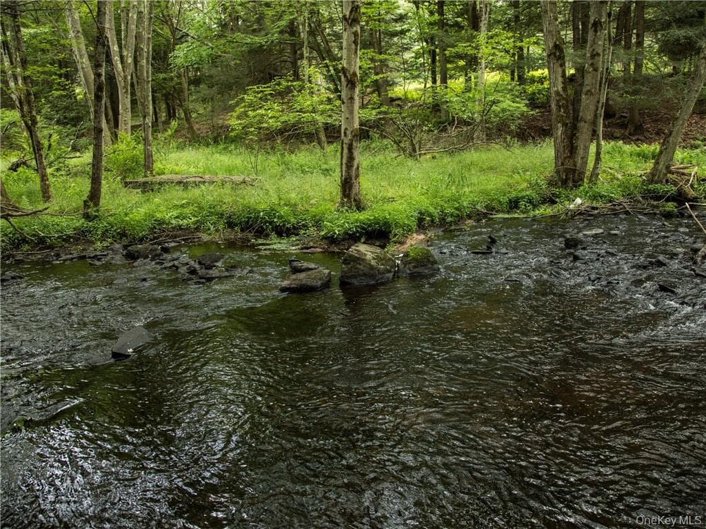 Lot 4 Chapin Trail thumbnail 5