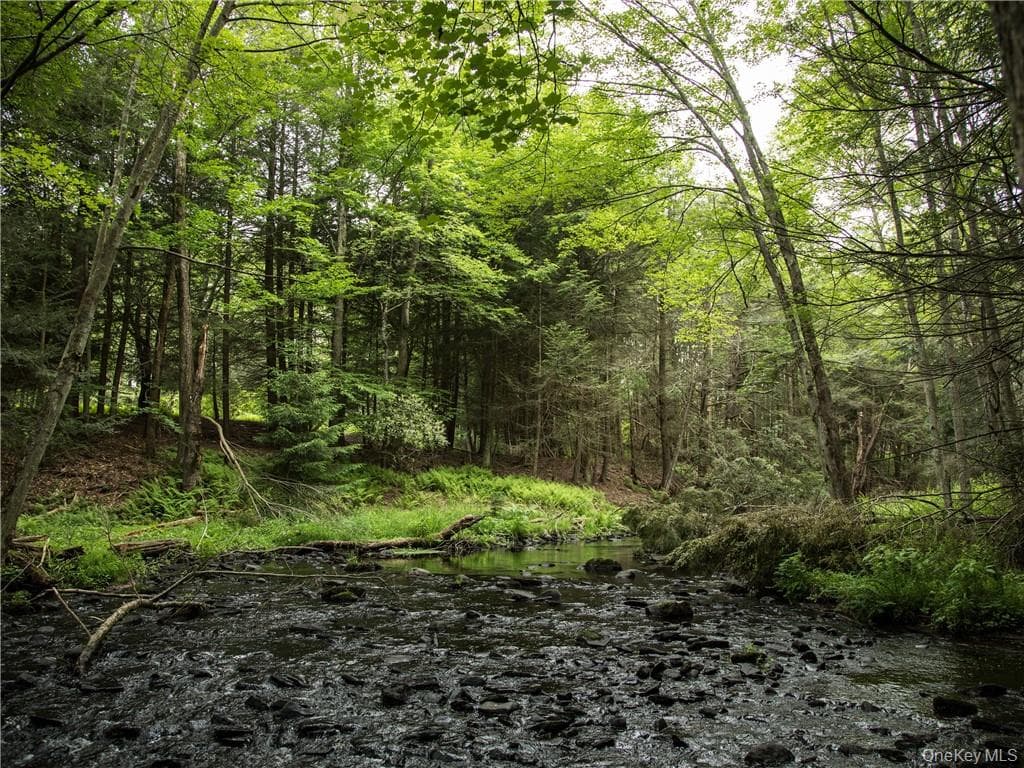 Lot 4 Chapin Trail thumbnail 2