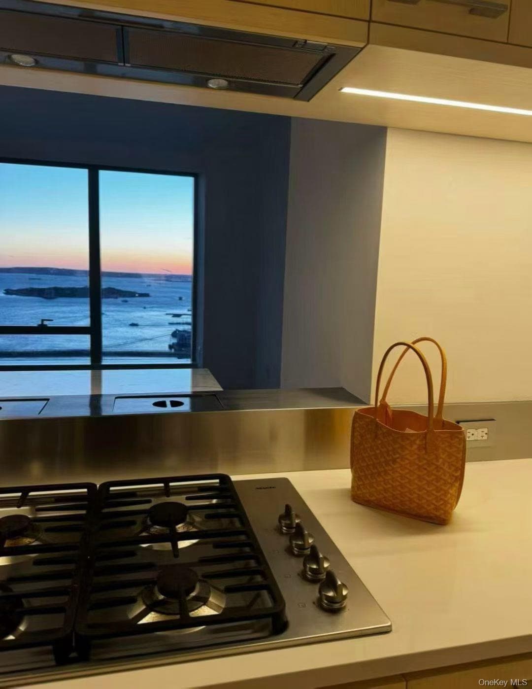 250 South Street Unit: 50N thumbnail 13