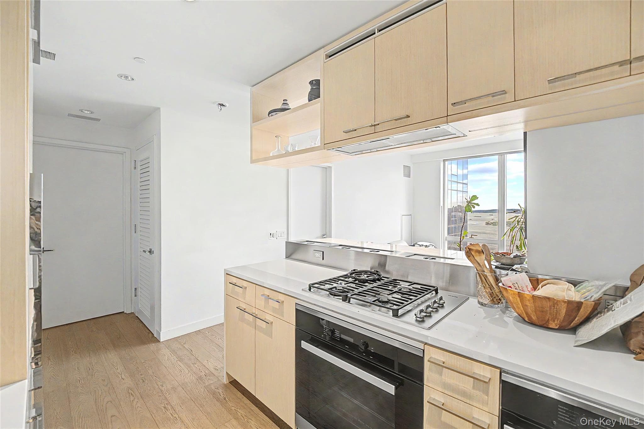 250 South Street Unit: 50N thumbnail 5