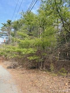 1304 Us Route 209 thumbnail 2