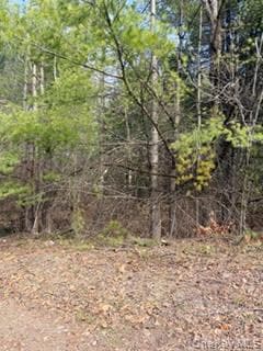 1304 Us Route 209 thumbnail 8