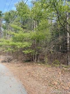1304 Us Route 209, Cuddebackville