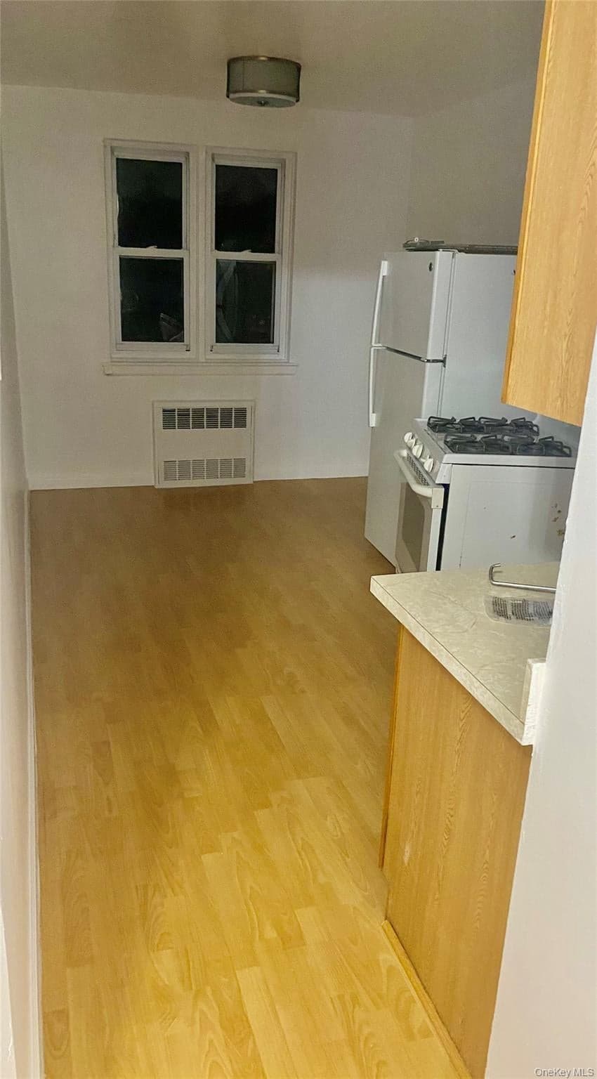 1309 E 52nd Street thumbnail 12