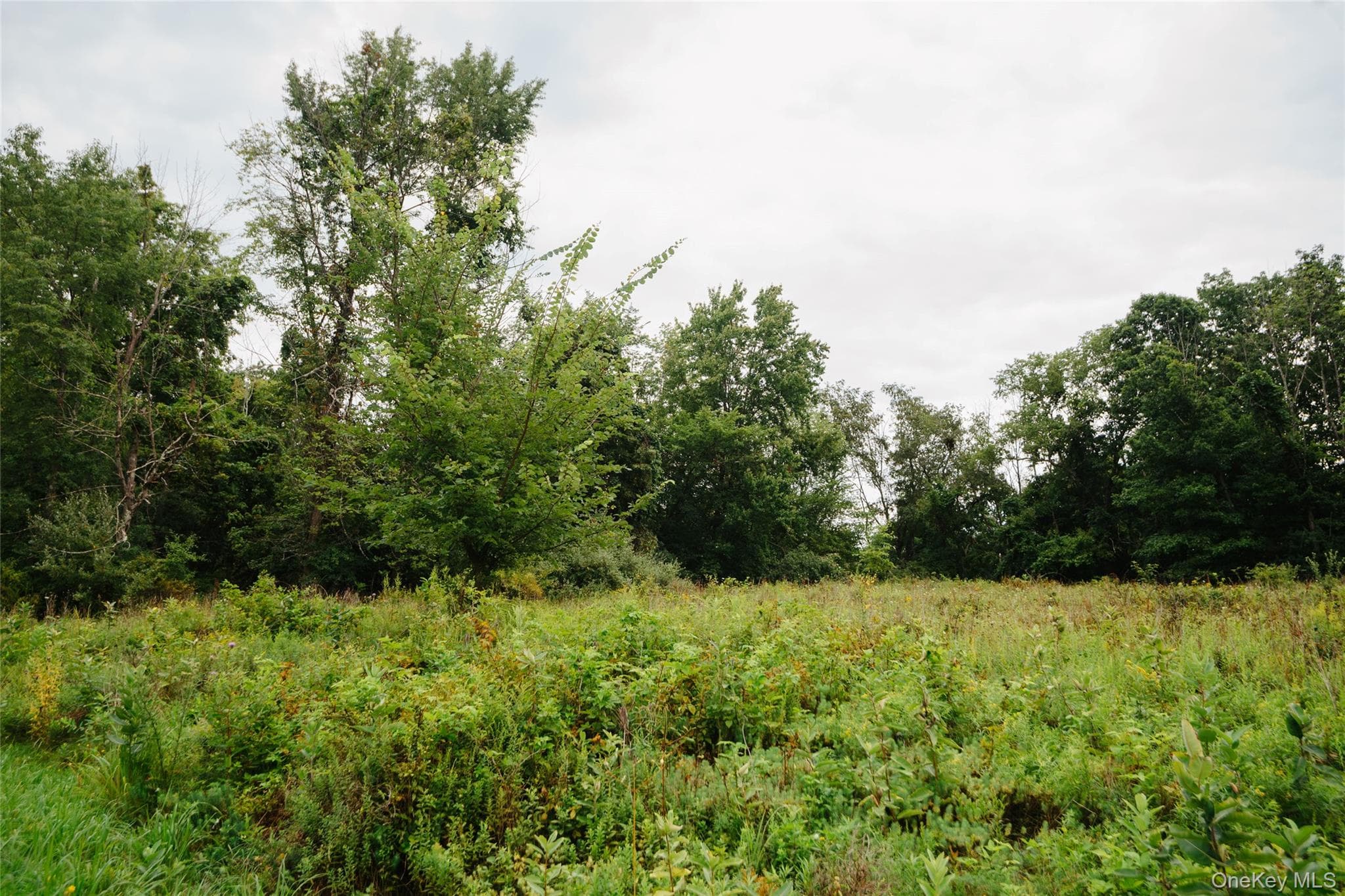 92 Restorative Lane thumbnail 5