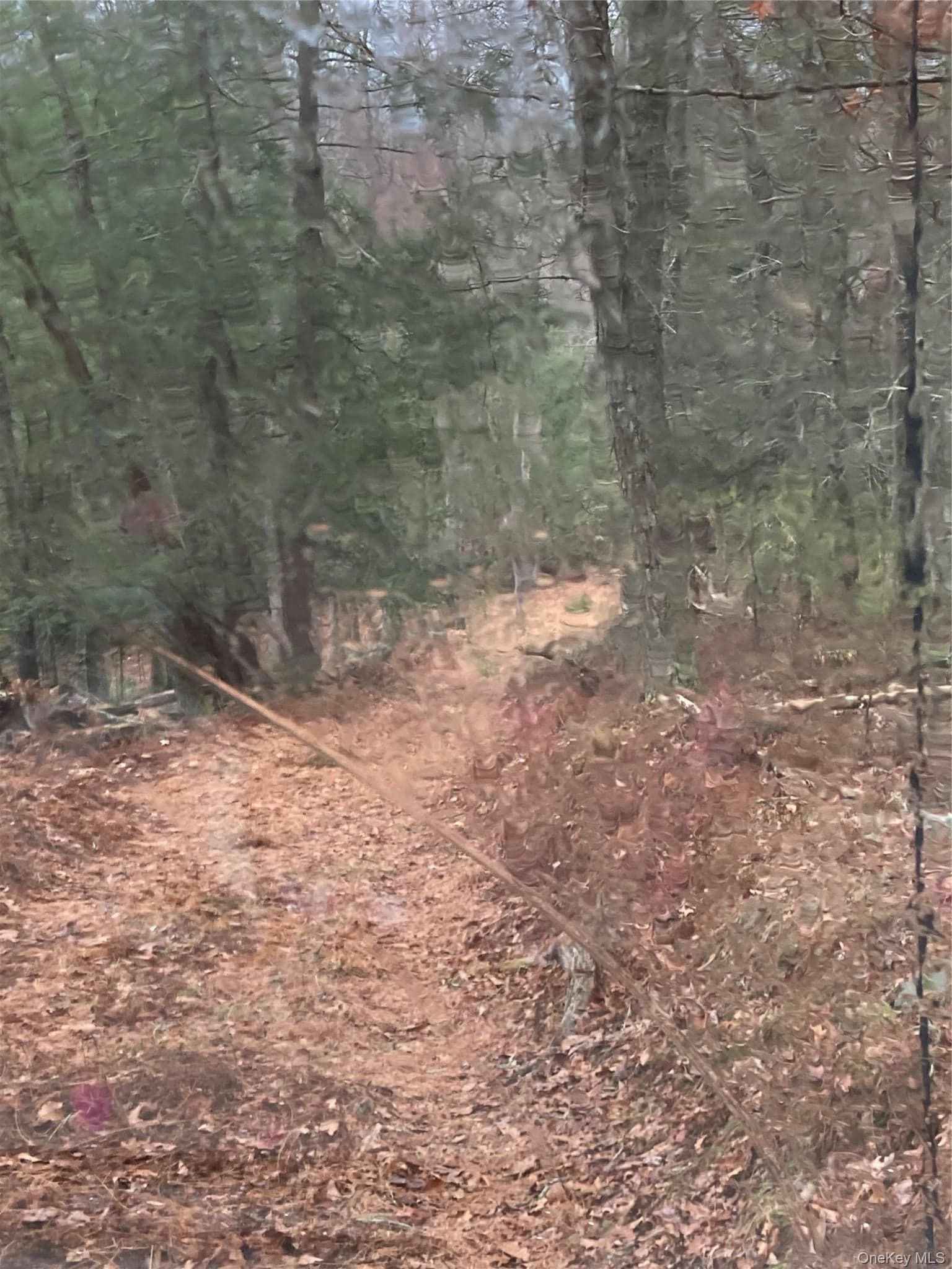 State Route 55 thumbnail 8