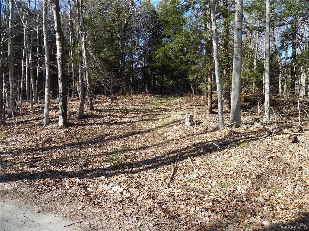 183 Revonah Hill Road thumbnail 3