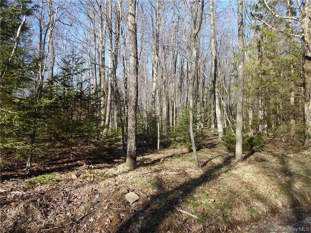 183 Revonah Hill Road thumbnail 6