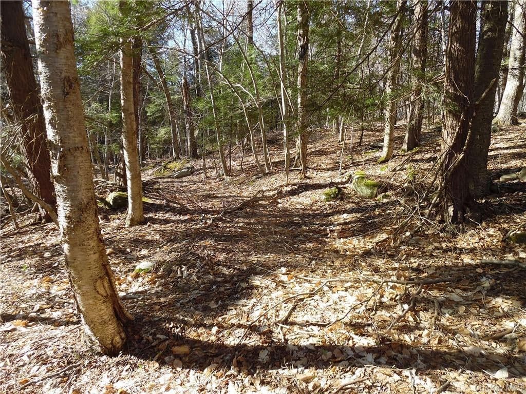 183 Revonah Hill Road thumbnail 4