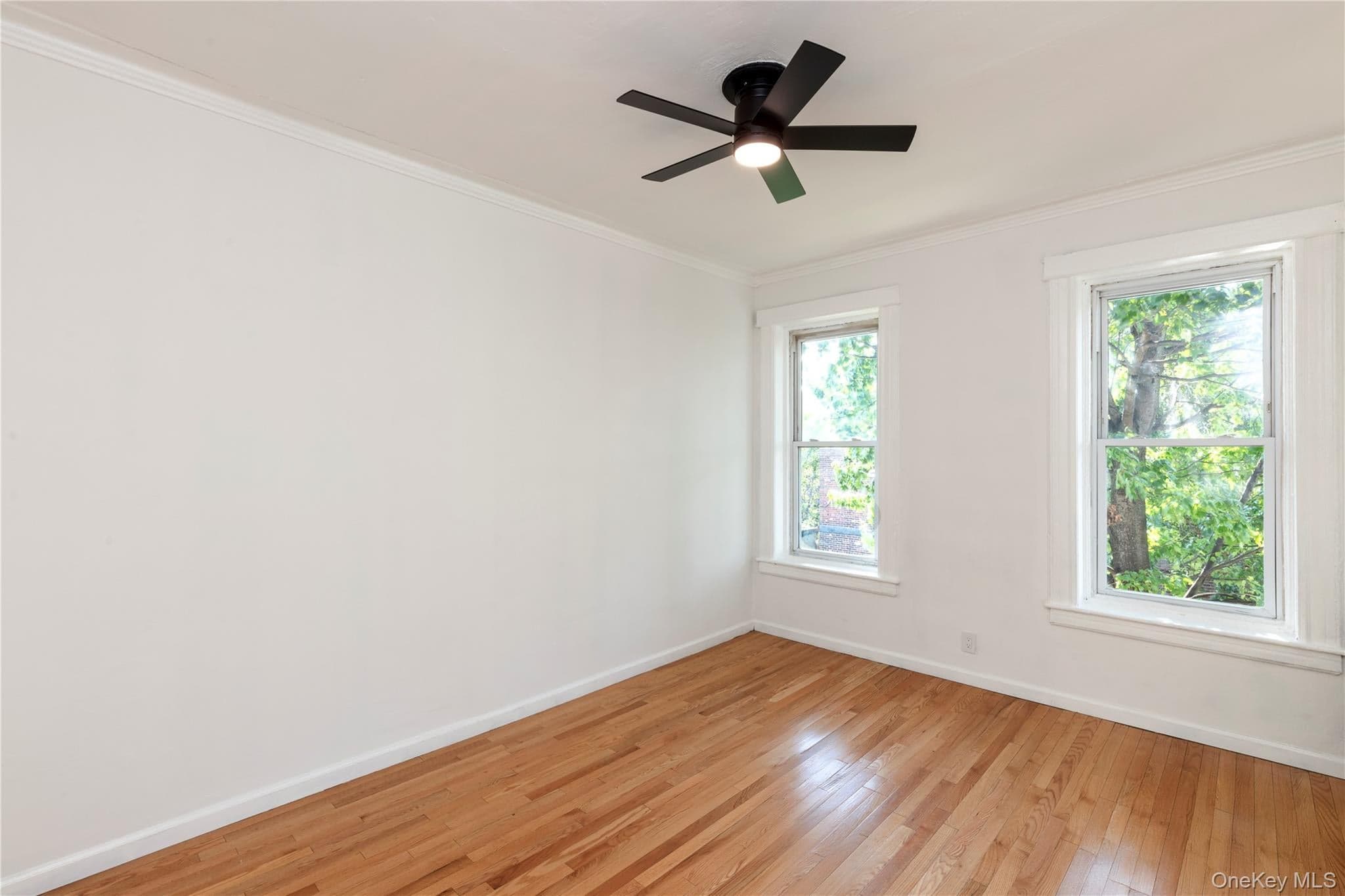 501 Vandervoort Avenue thumbnail 15