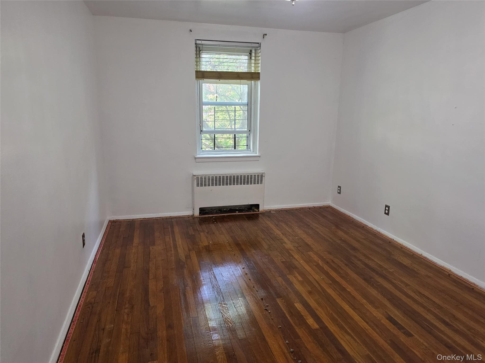765 Bronx River Unit: 3F thumbnail 19
