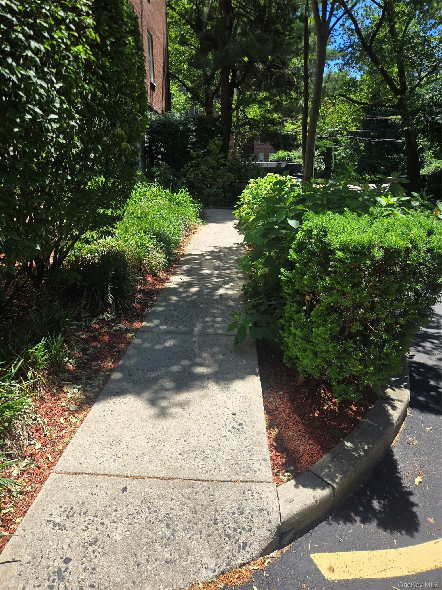 765 Bronx River Unit: 3F thumbnail 3