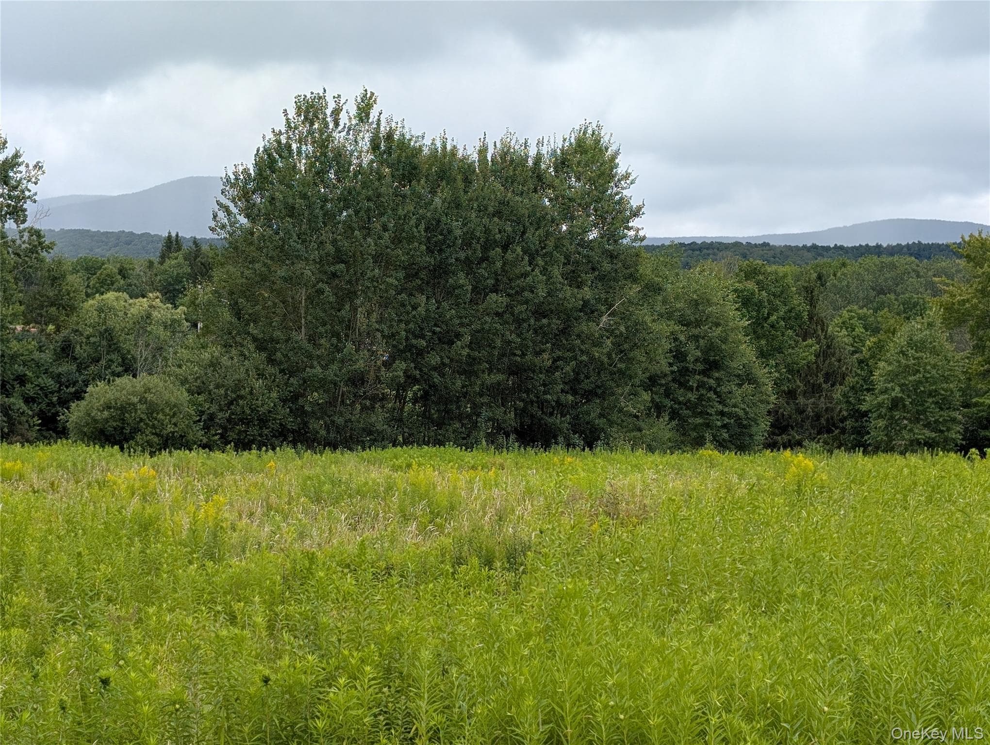 Hubbell Hill Road thumbnail 16