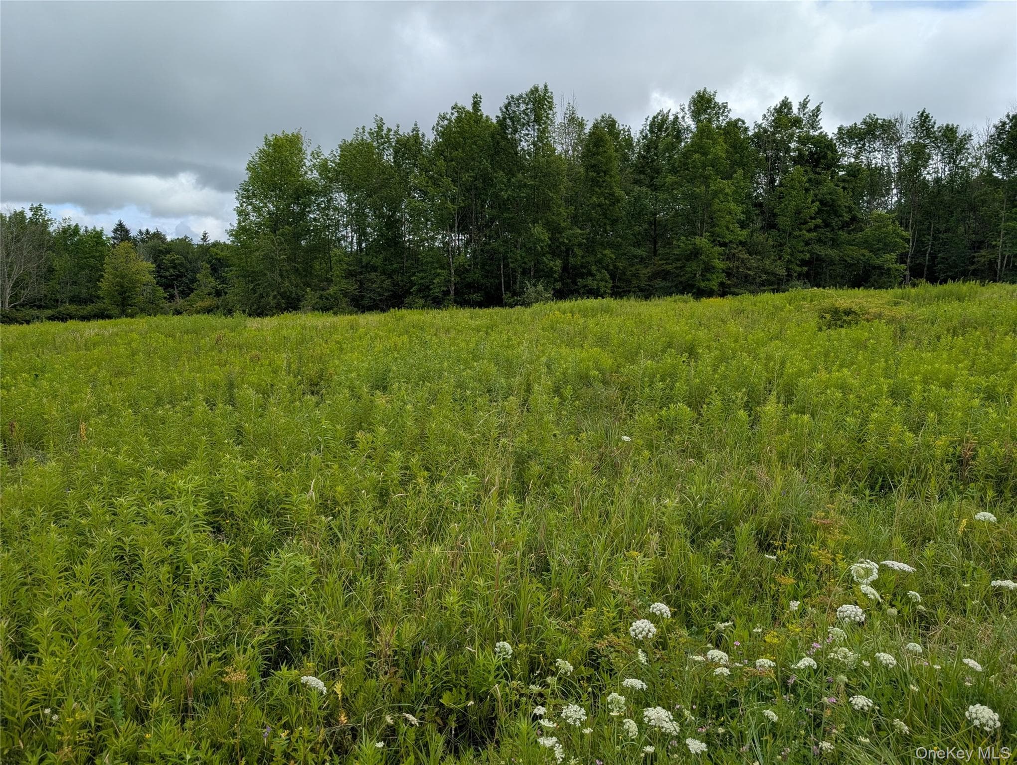 Hubbell Hill Road thumbnail 19