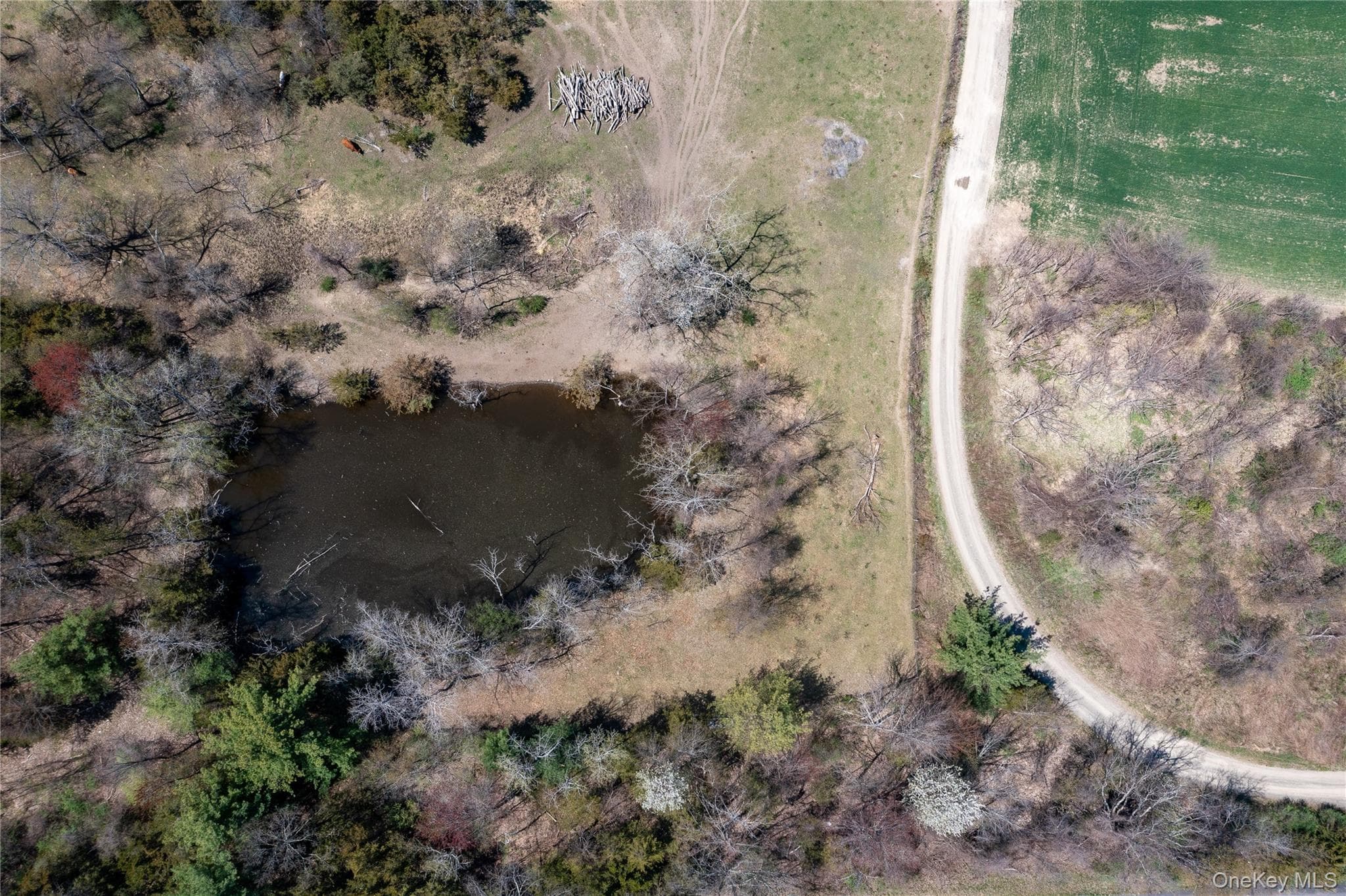 County Road 19 thumbnail 18