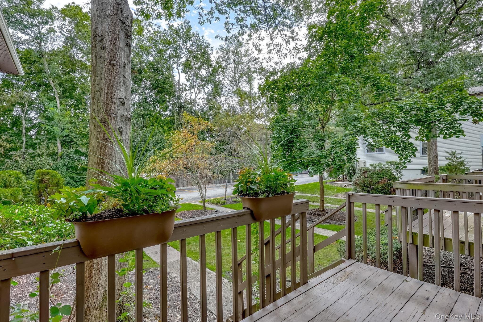 38 Somerset Drive thumbnail 19