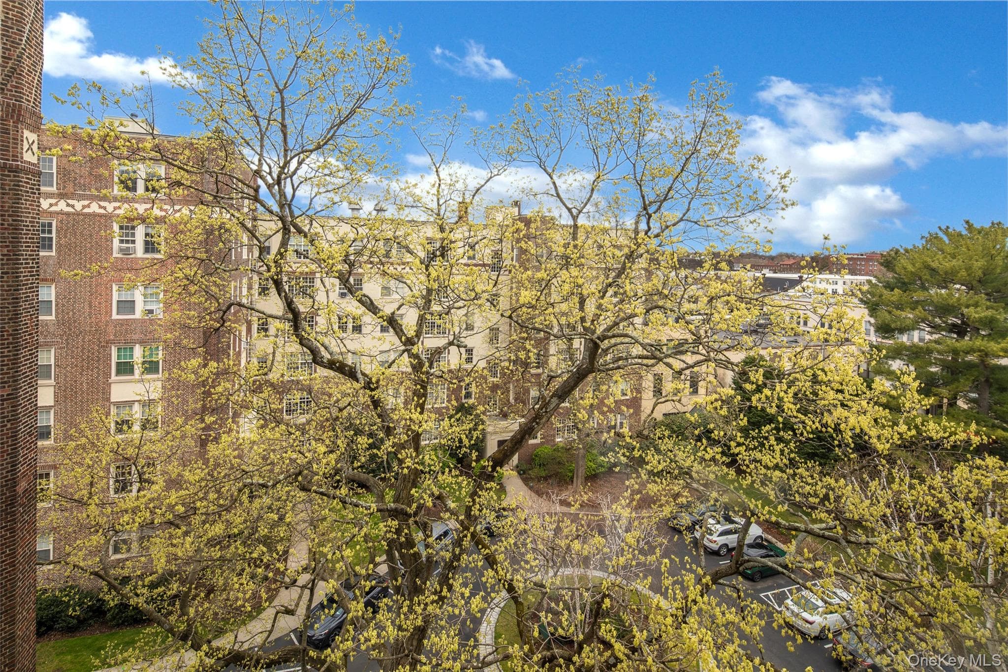 3 Tanglewylde Avenue Unit: 5C thumbnail 25
