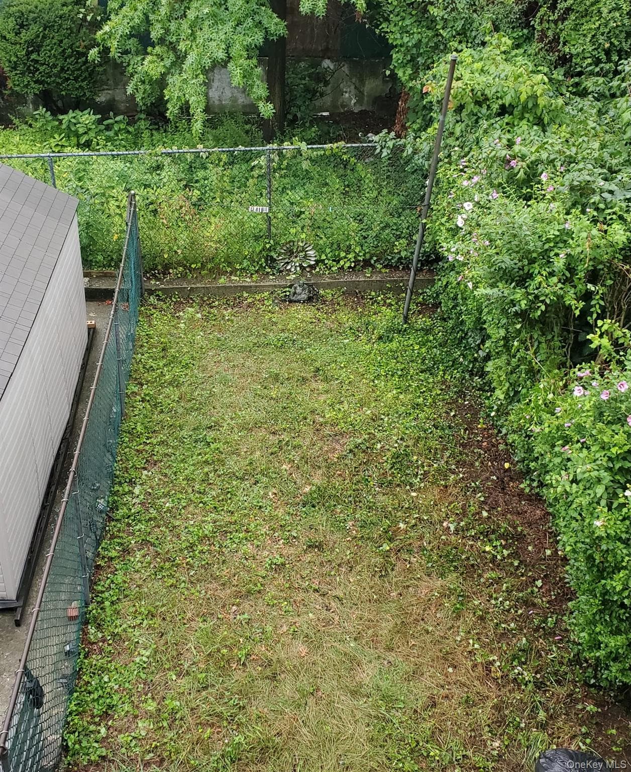 1162 Adee Avenue thumbnail 6