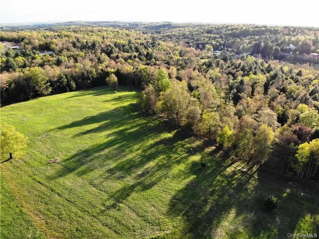 00 Benmosche Road, Monticello