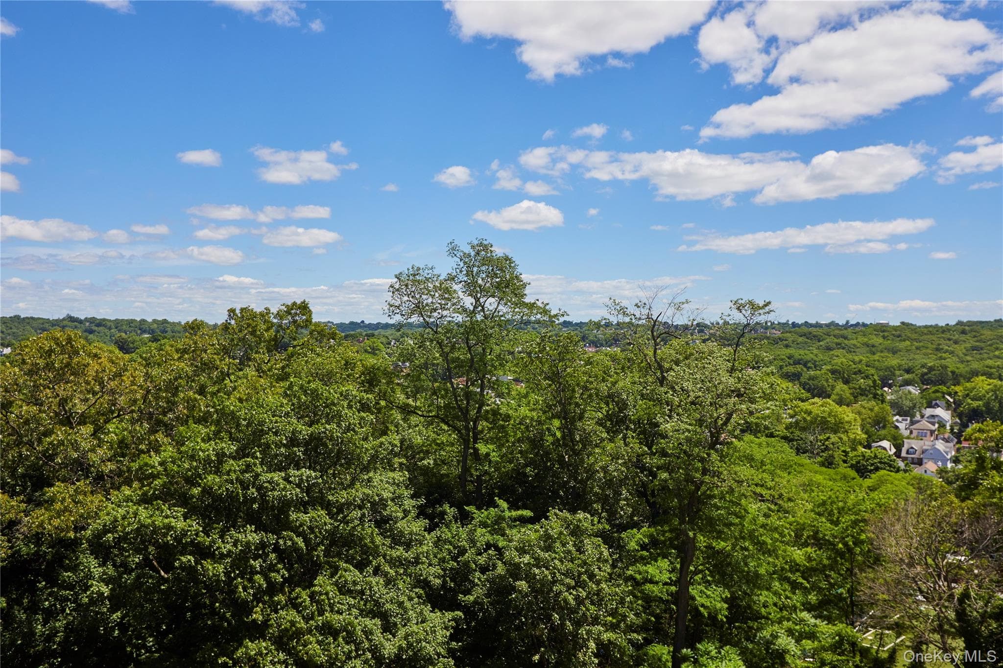 5900 Arlington Avenue Unit: 4B thumbnail 15