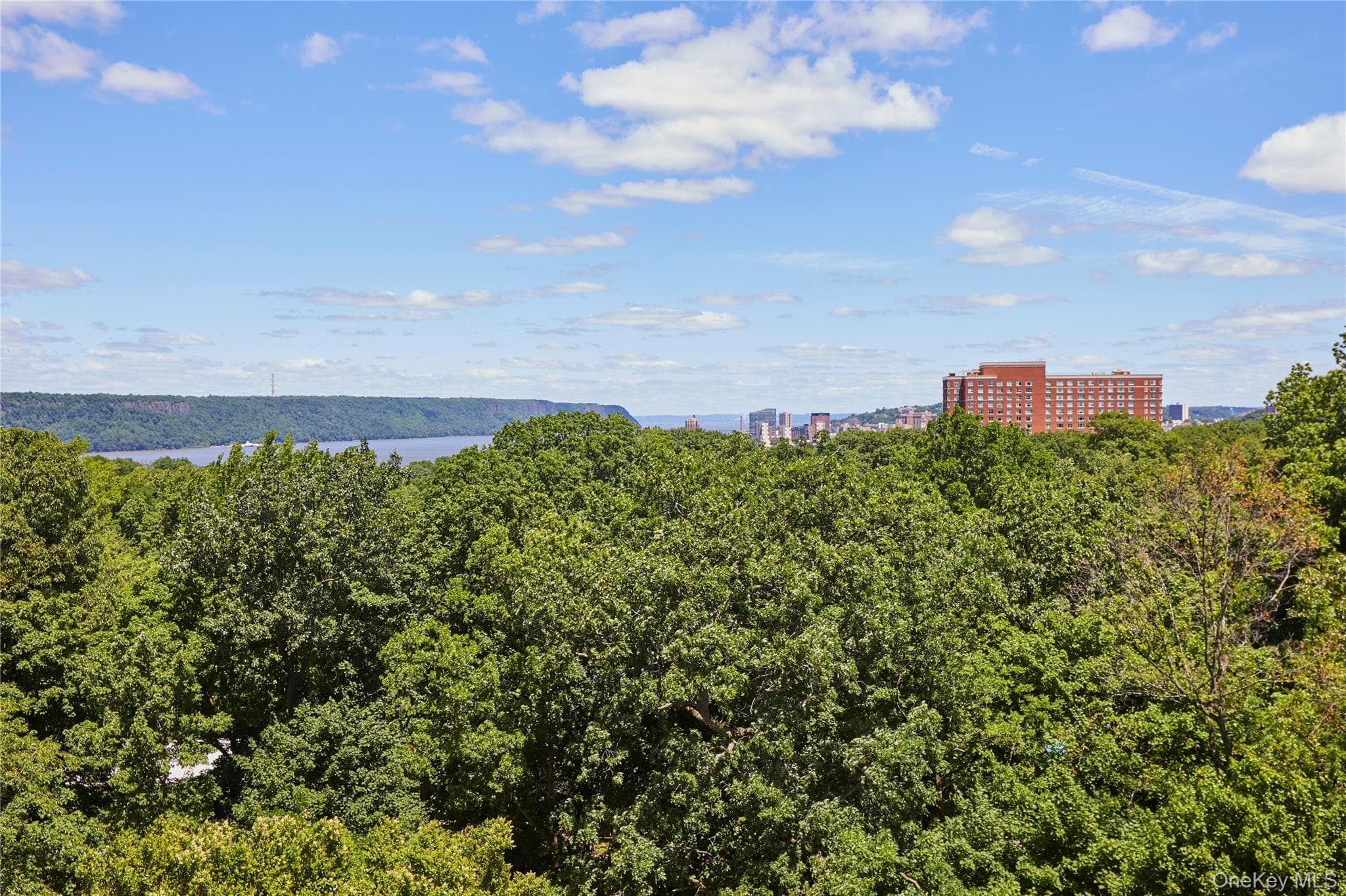 5900 Arlington Avenue Unit: 4B thumbnail 19