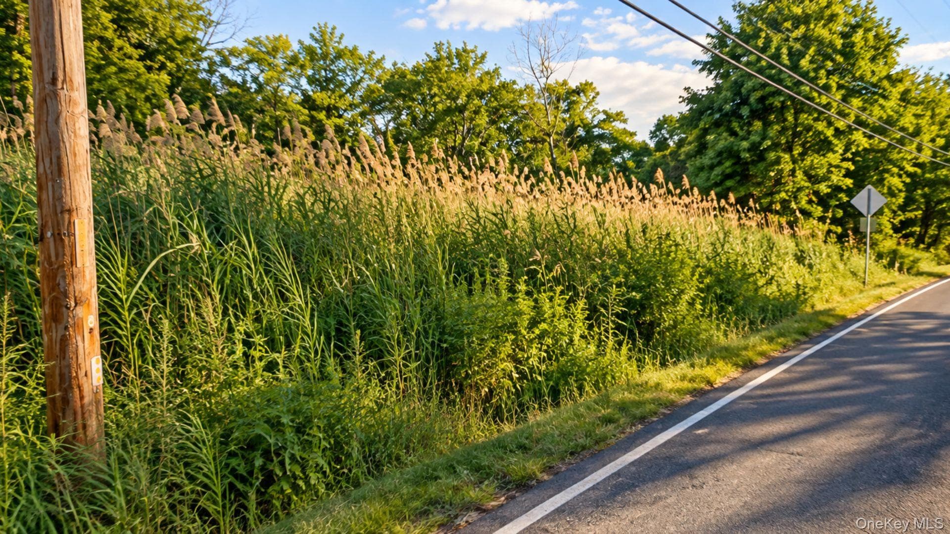 Ulster Landing Road thumbnail 8