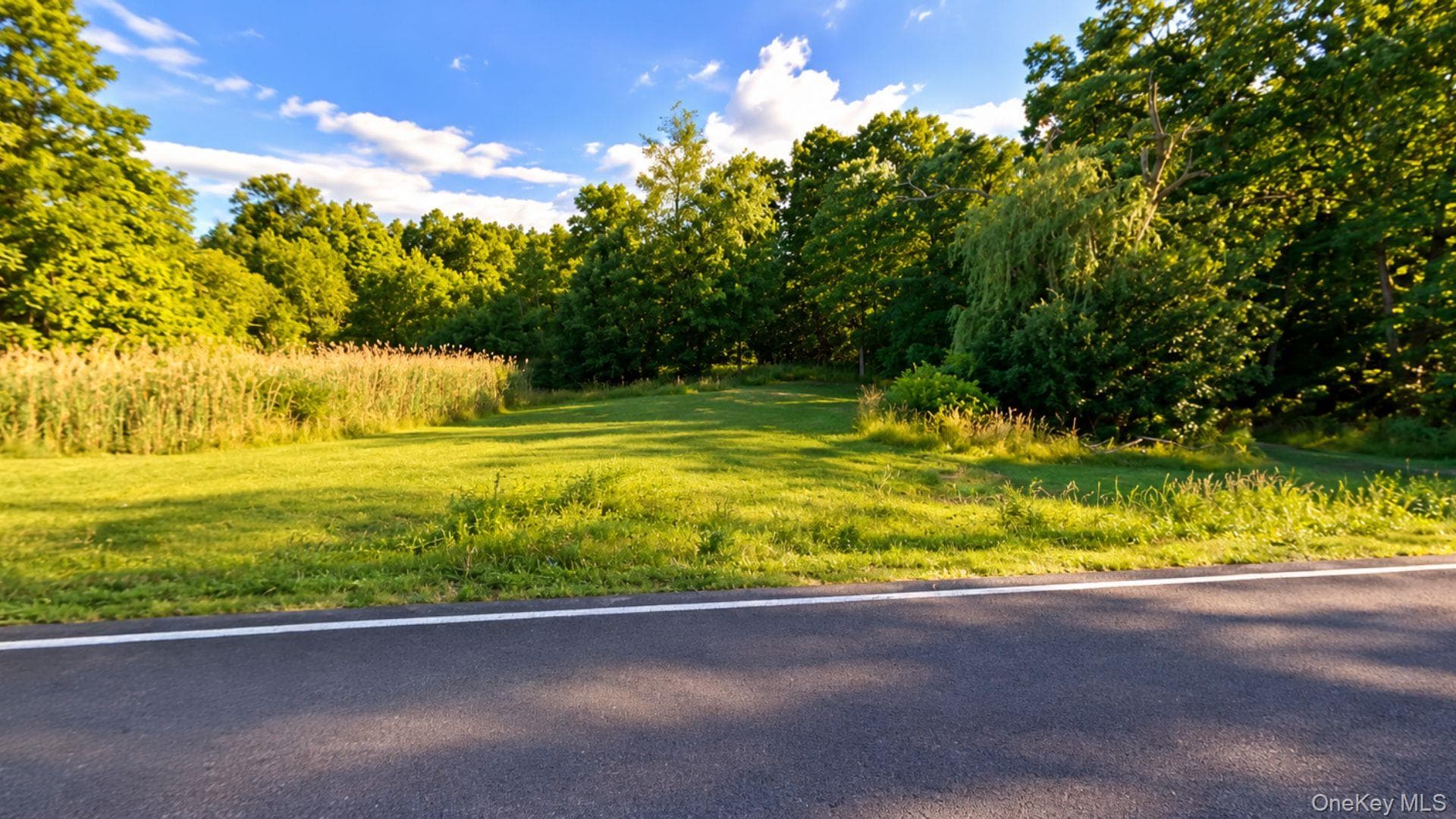 Ulster Landing Road thumbnail 6