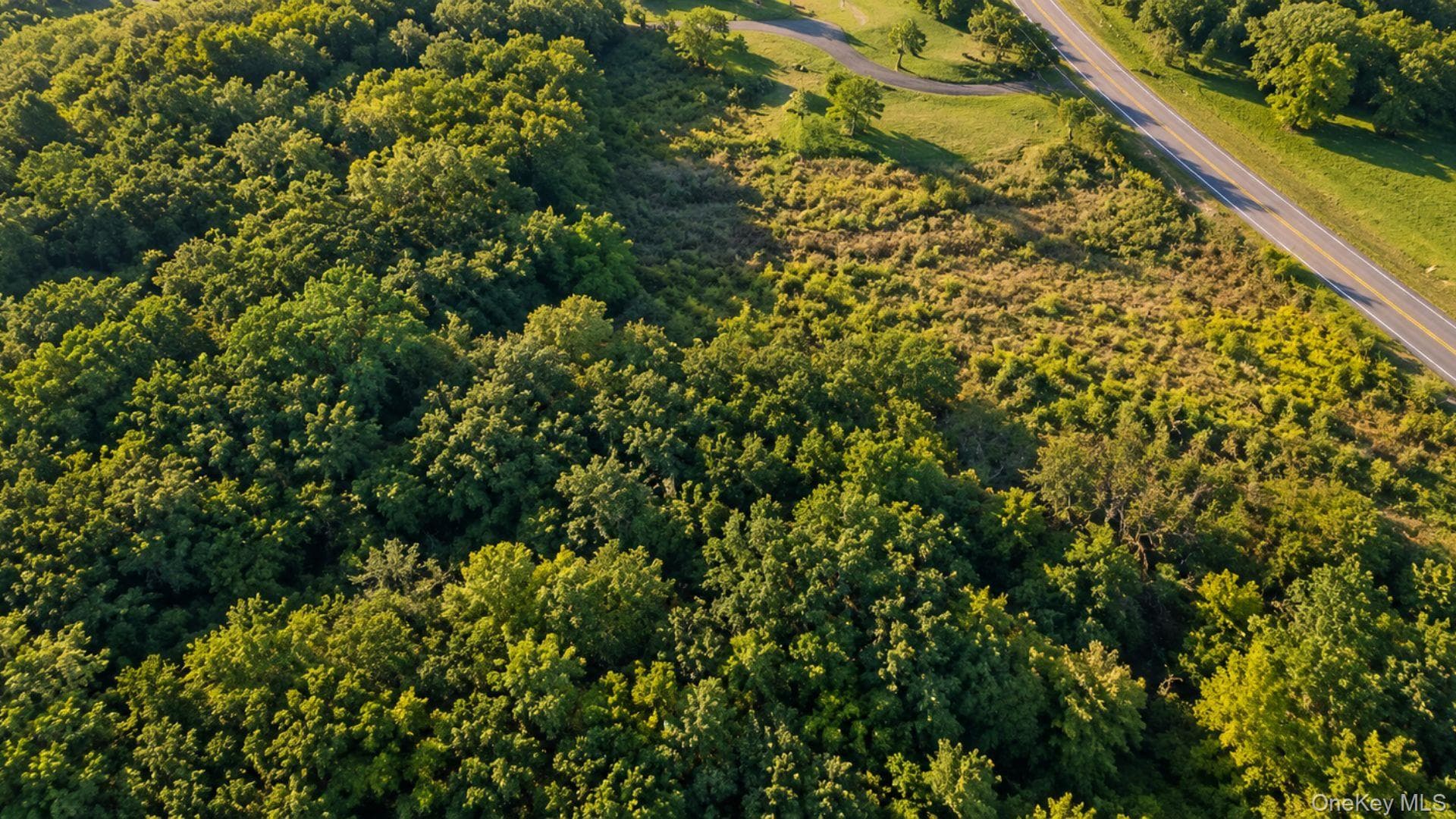 Ulster Landing Road thumbnail 9