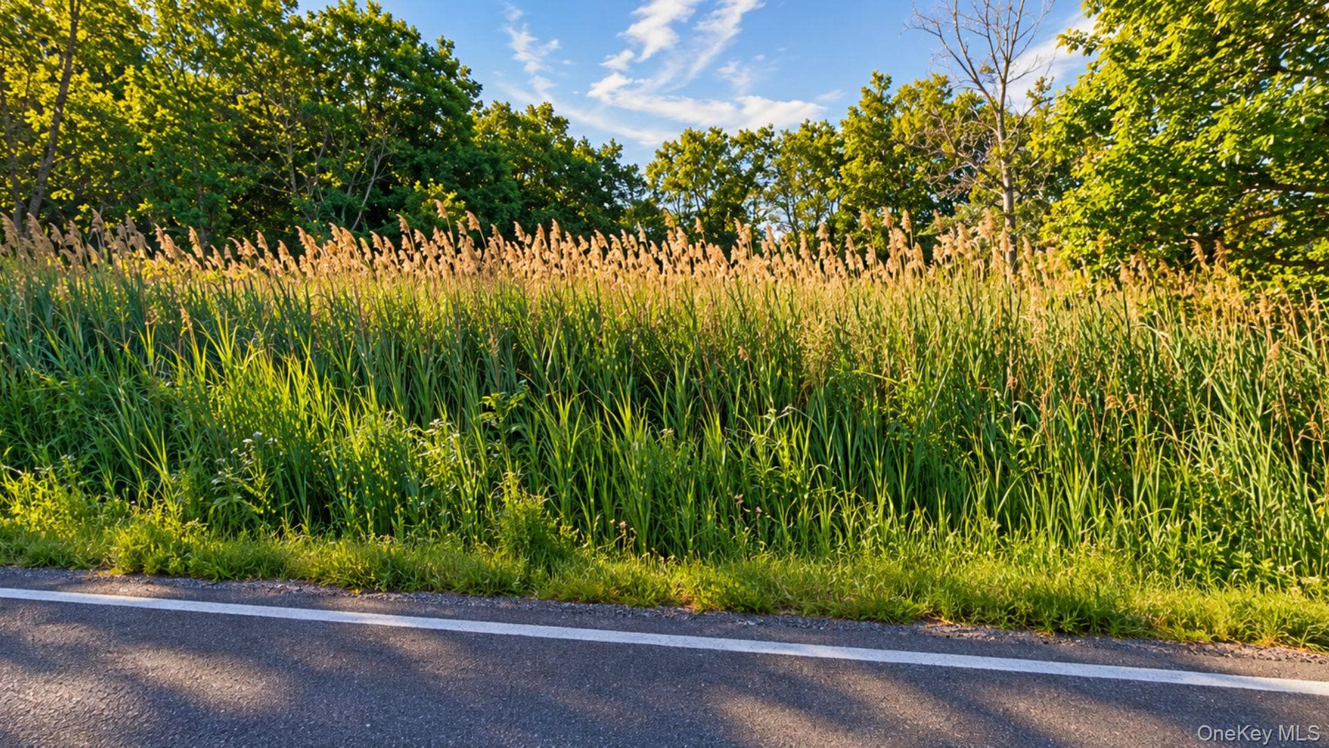 Ulster Landing Road thumbnail 3