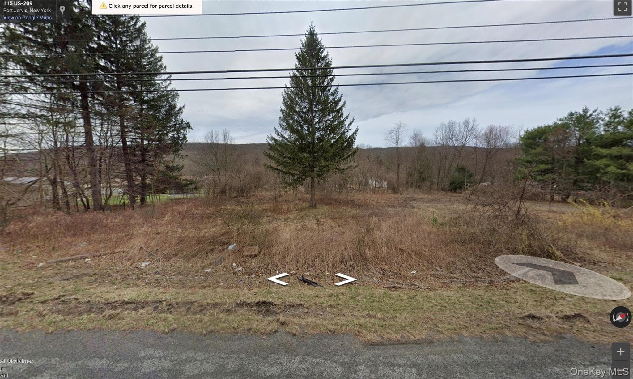 113 Route 209, Port Jervis