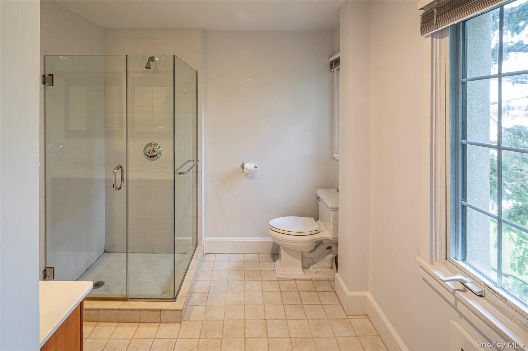 15 Beechtree LN Unit: 2C thumbnail 17