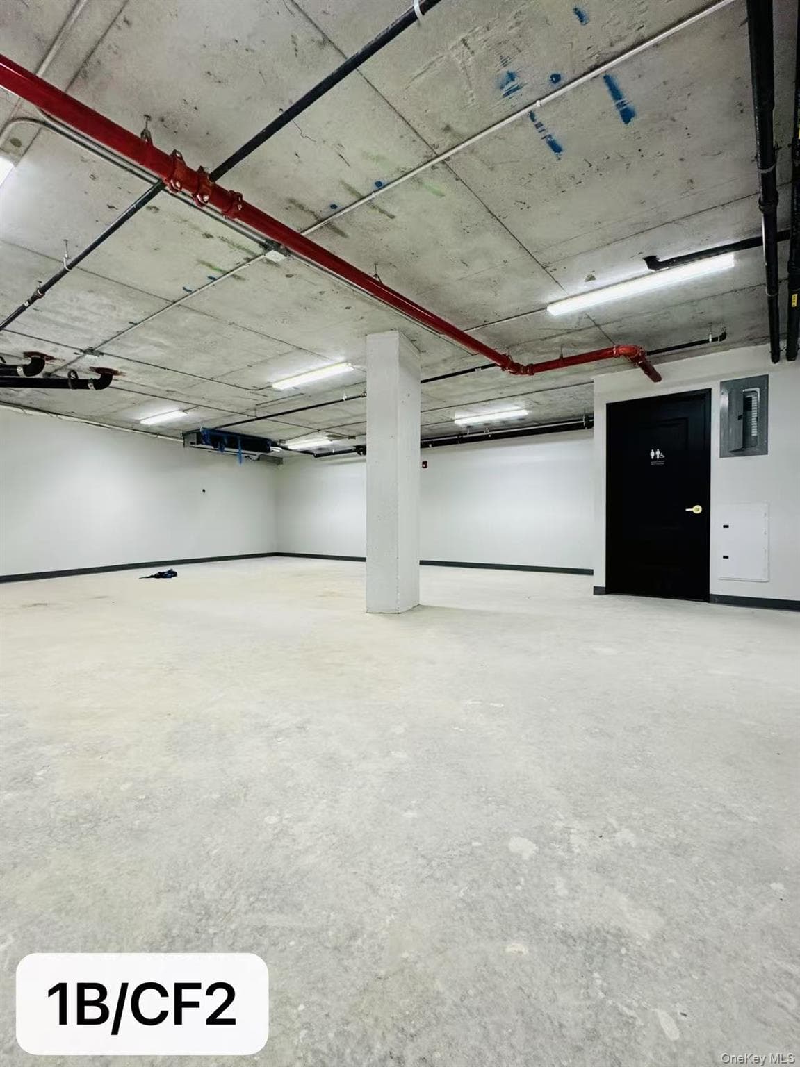 43-20 52nd Street Unit: CF thumbnail 15