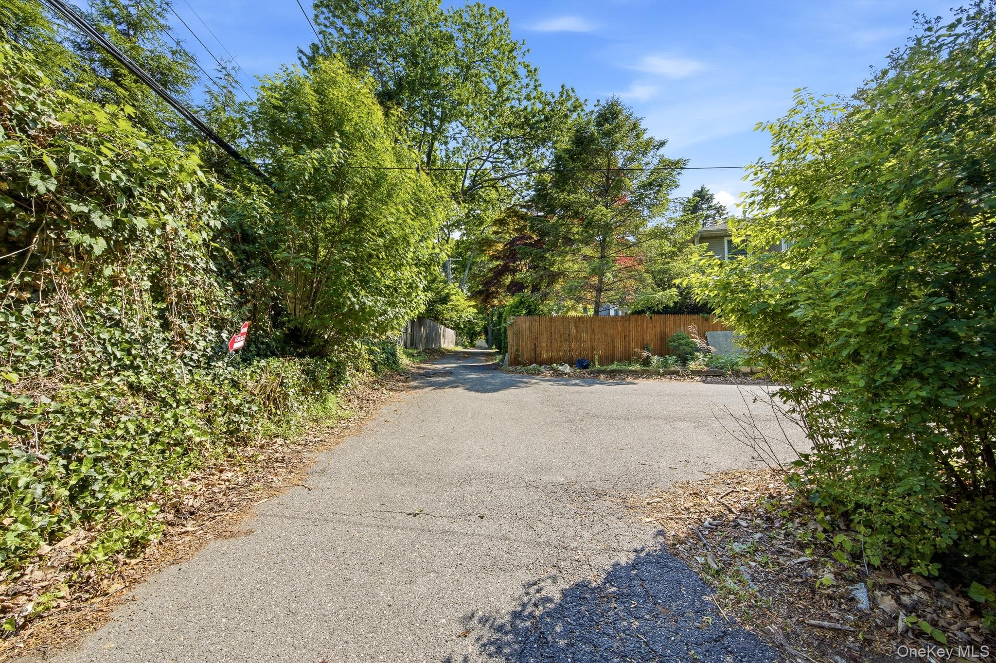 10 Woodland Lane thumbnail 22