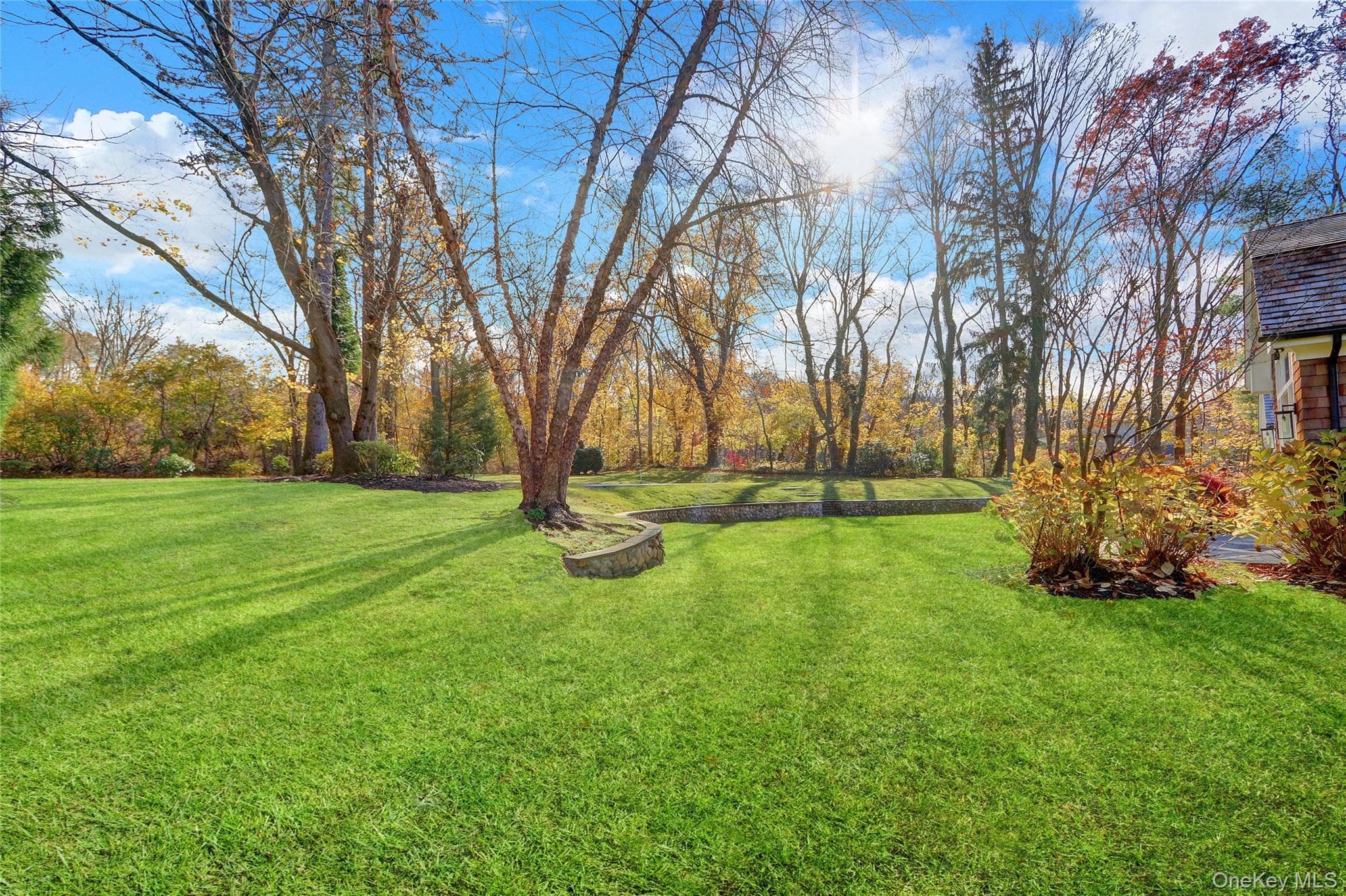 119 Wheatley Road thumbnail 41