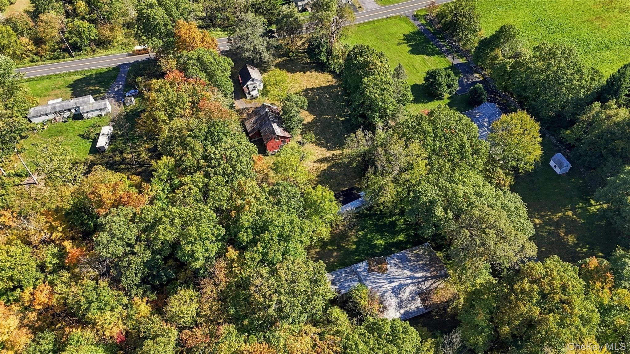 421 Forest Road thumbnail 26