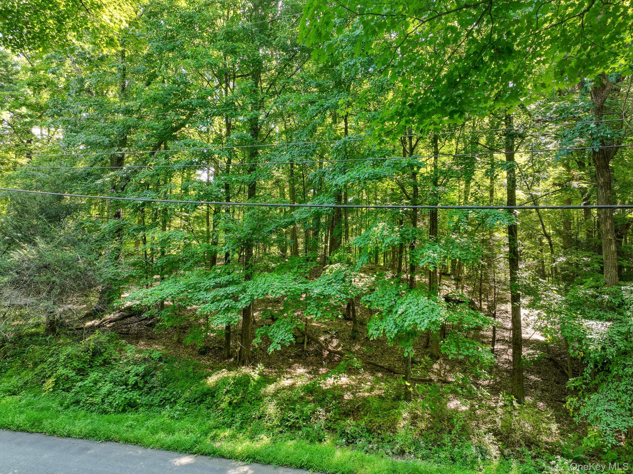 105 Carney RD thumbnail 15