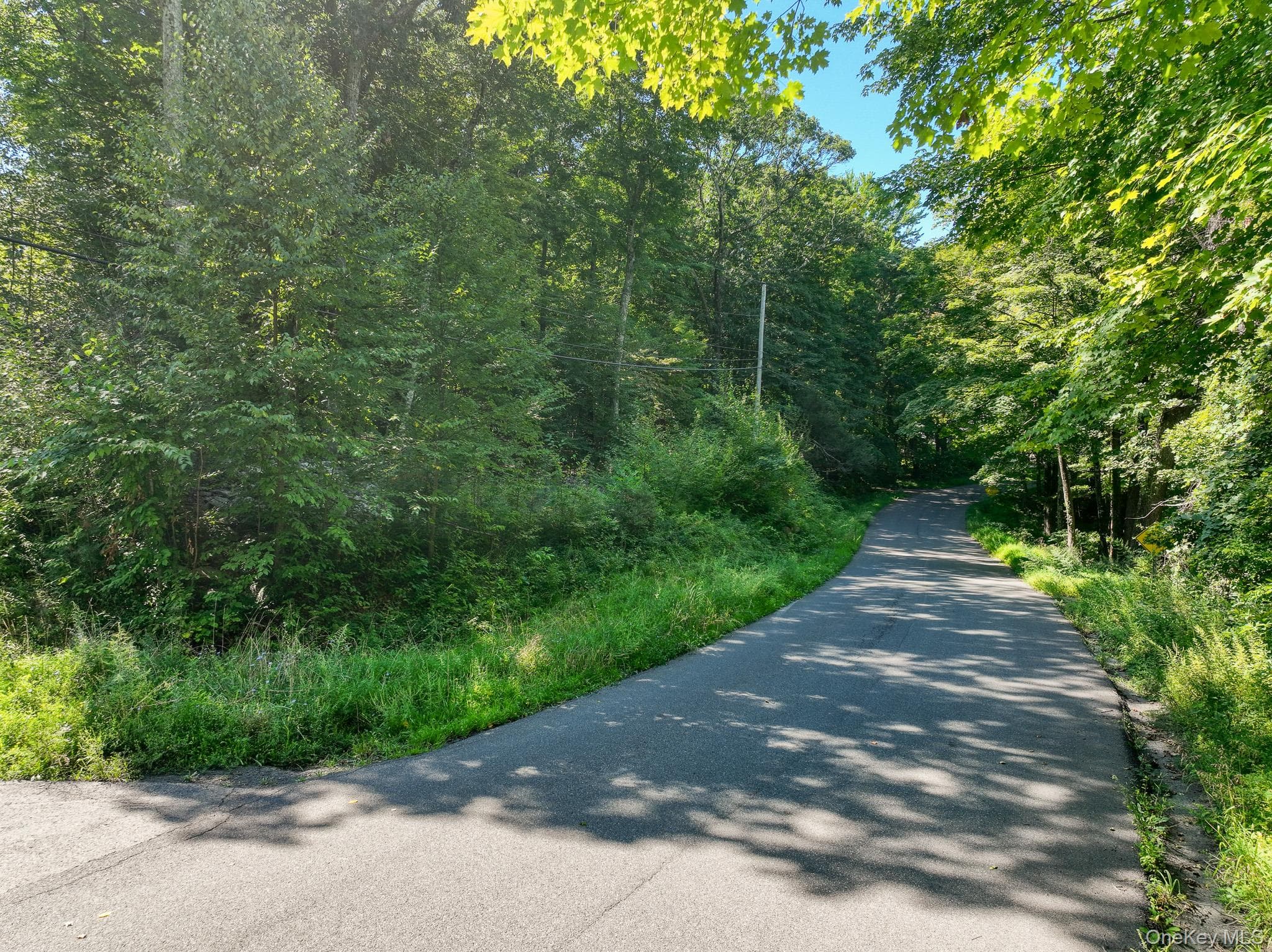 105 Carney RD thumbnail 12