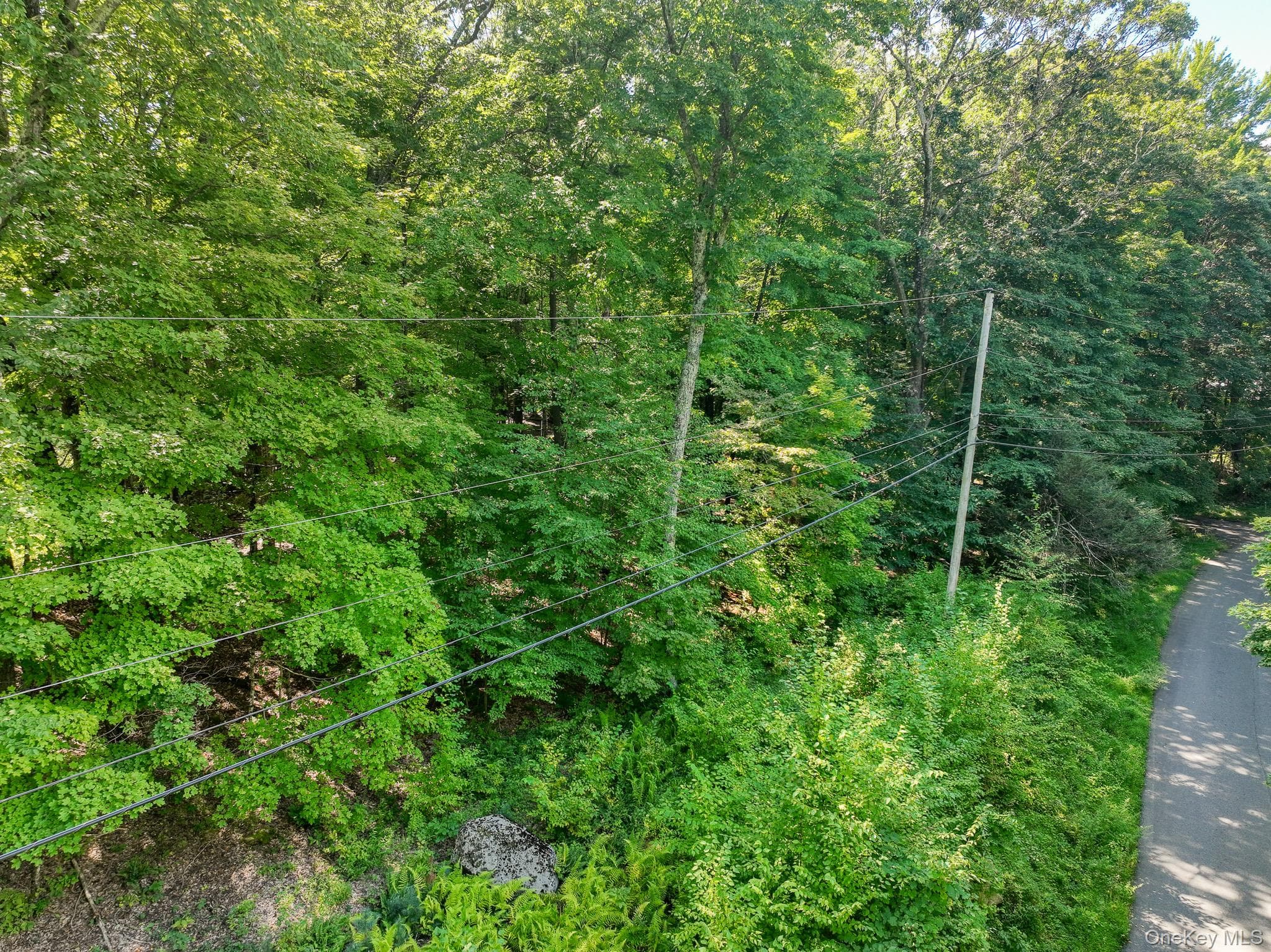 105 Carney RD thumbnail 13