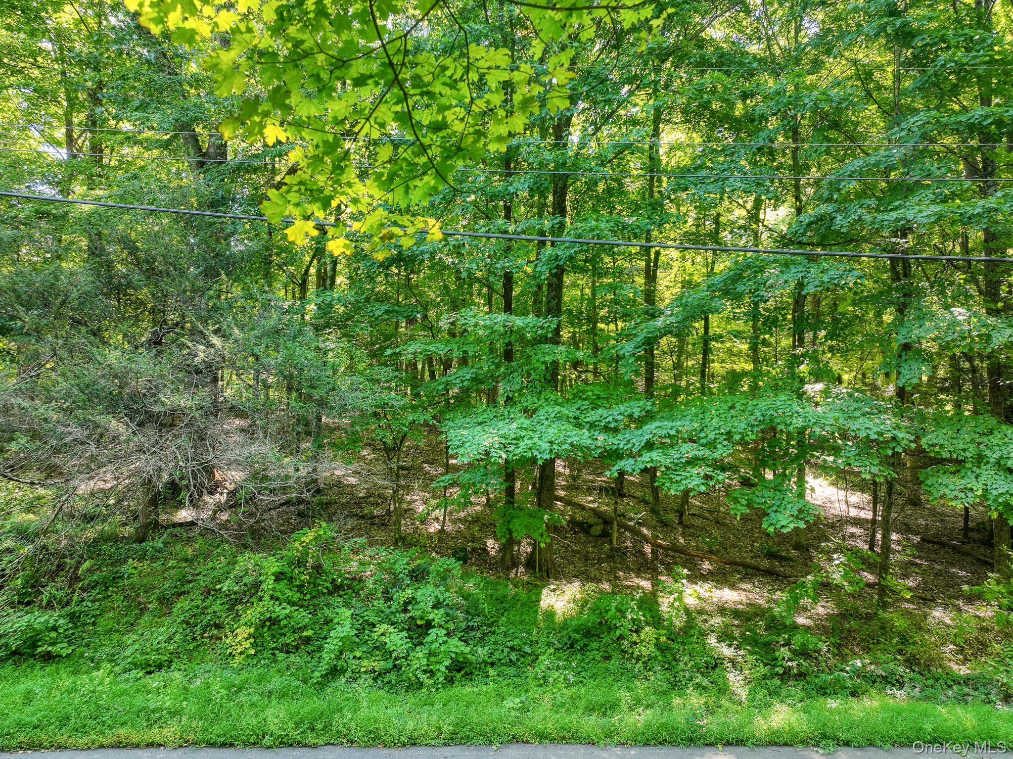 105 Carney RD thumbnail 14