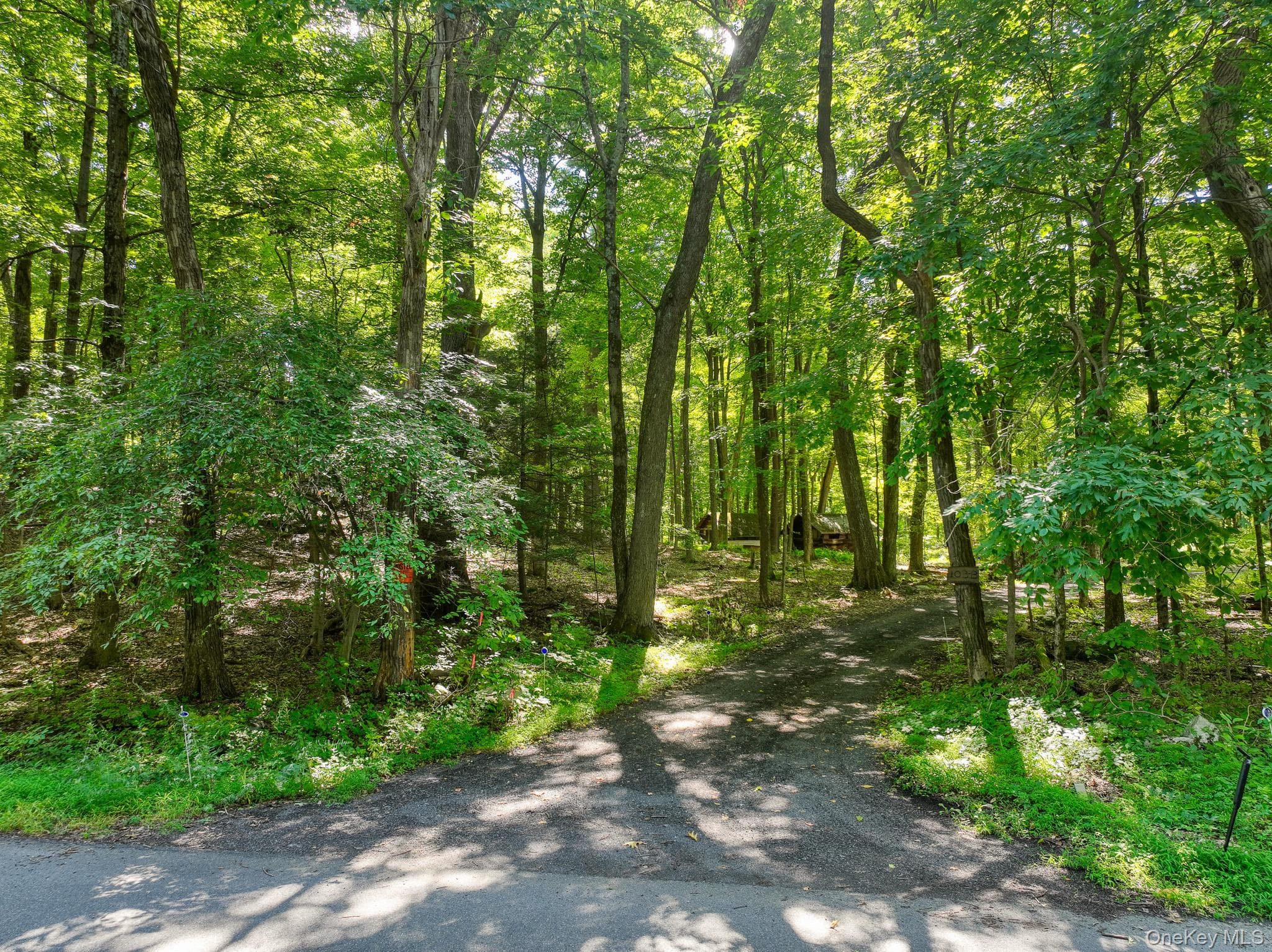 105 Carney RD thumbnail 16