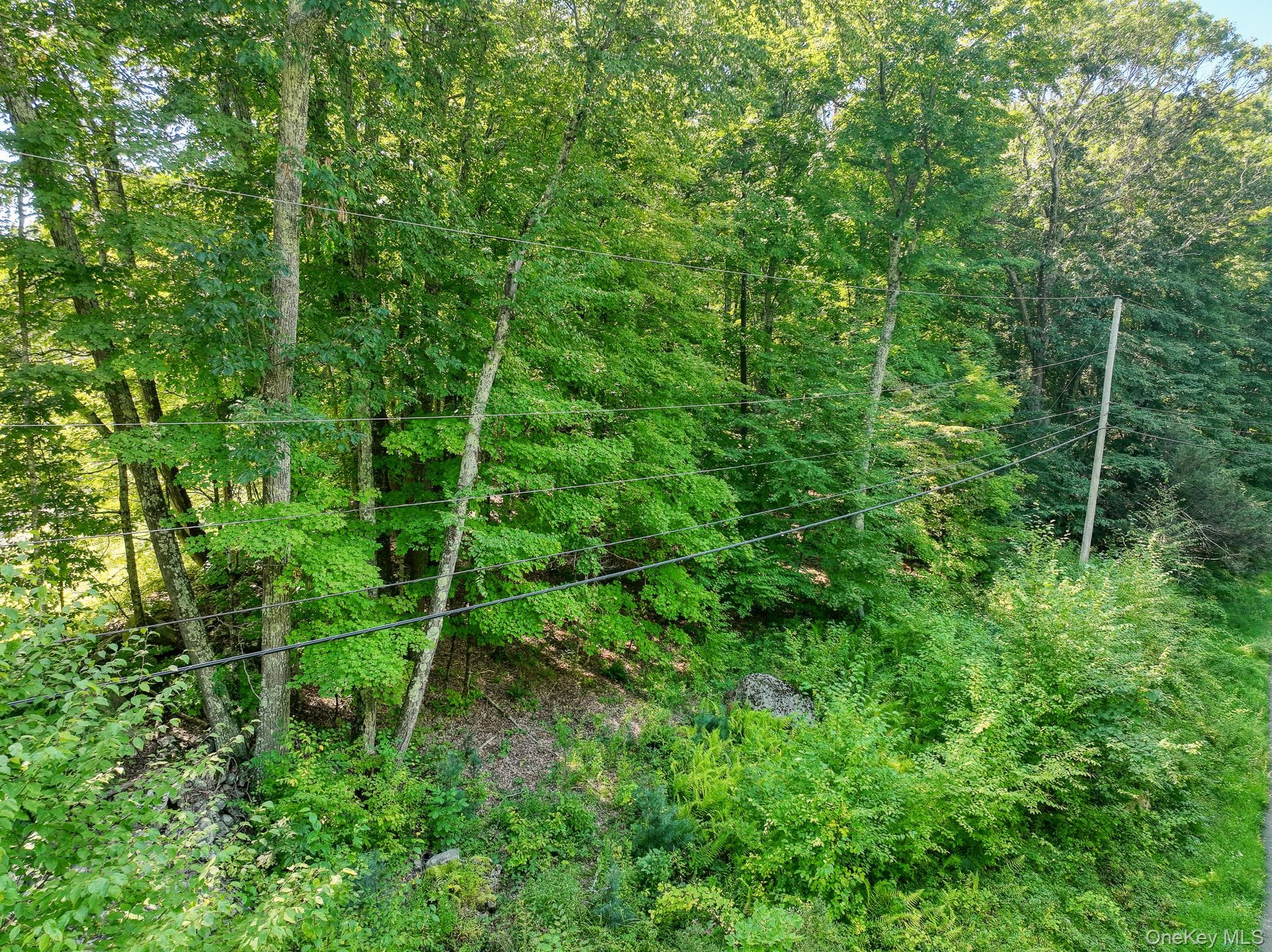 105 Carney RD thumbnail 11