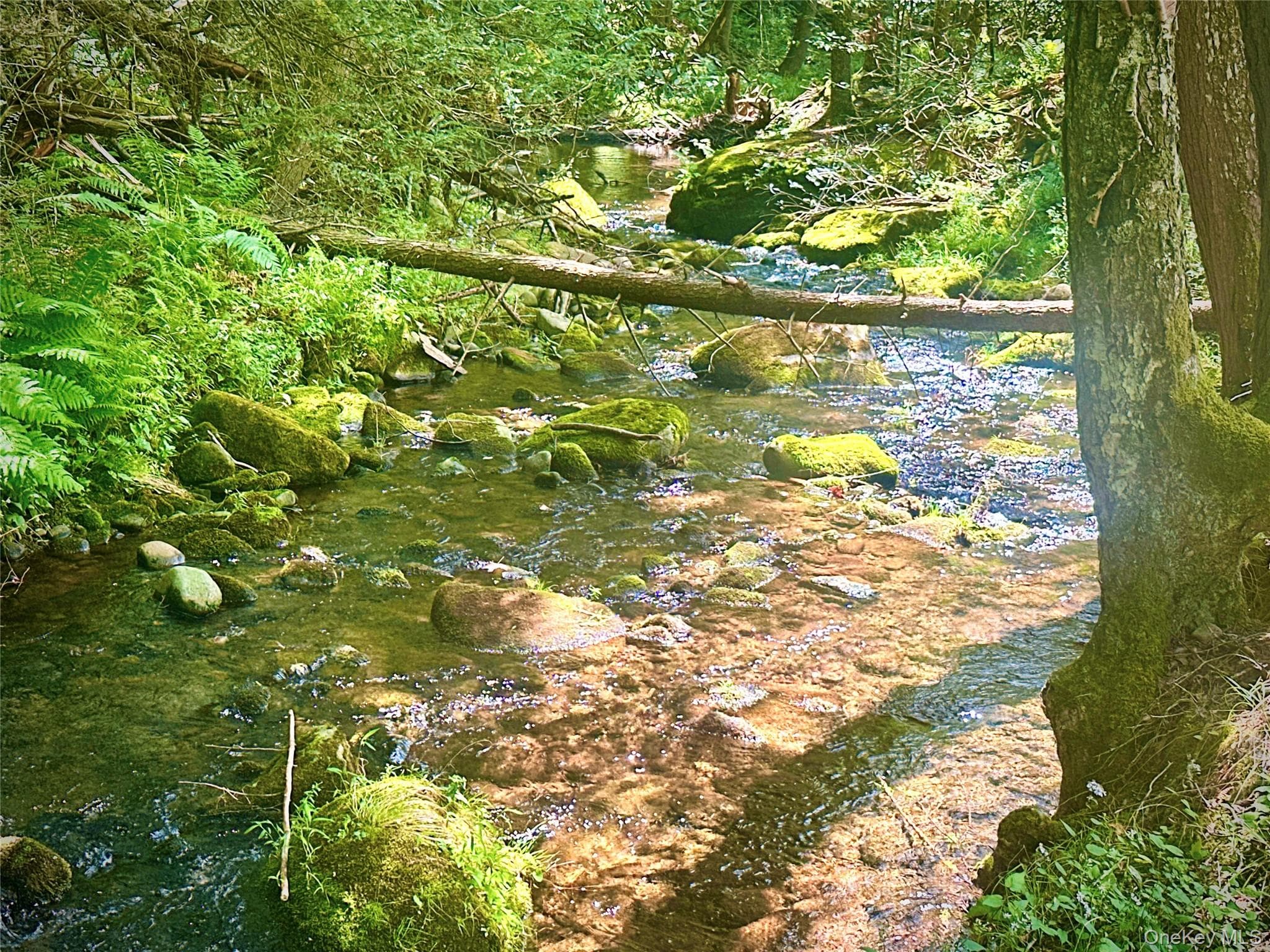 283 Pepacton Hollow Road thumbnail 46
