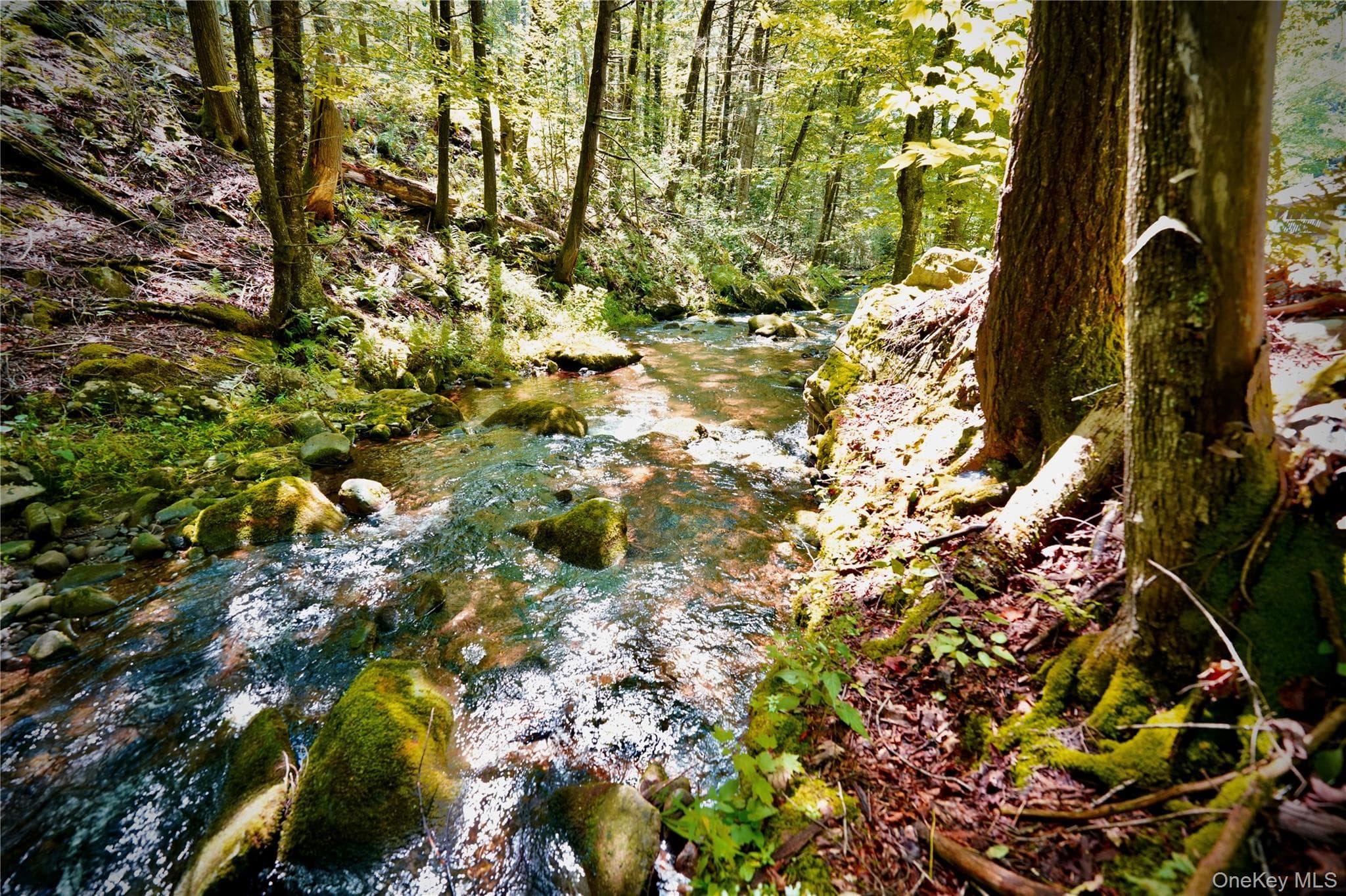 283 Pepacton Hollow Road thumbnail 8