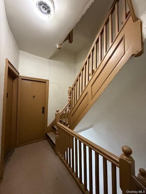 49 Buffalo Avenue thumbnail 22