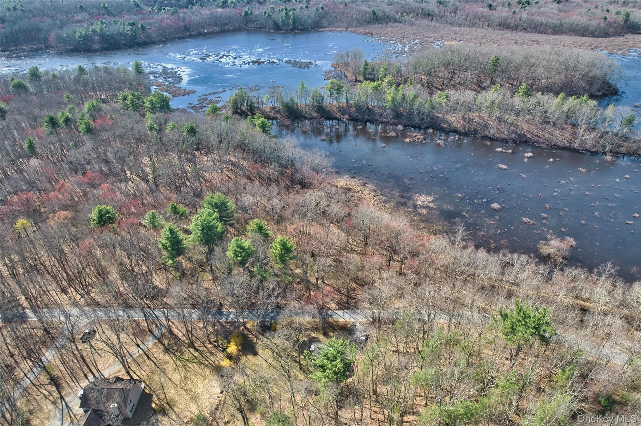1193 South Road thumbnail 33