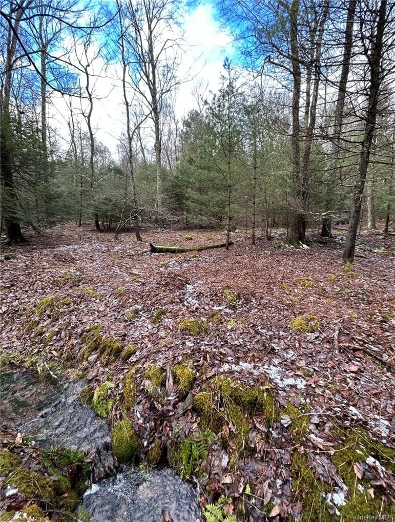 143 Brandt Road thumbnail 5