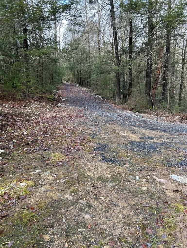 143 Brandt Road, Cuddebackville
