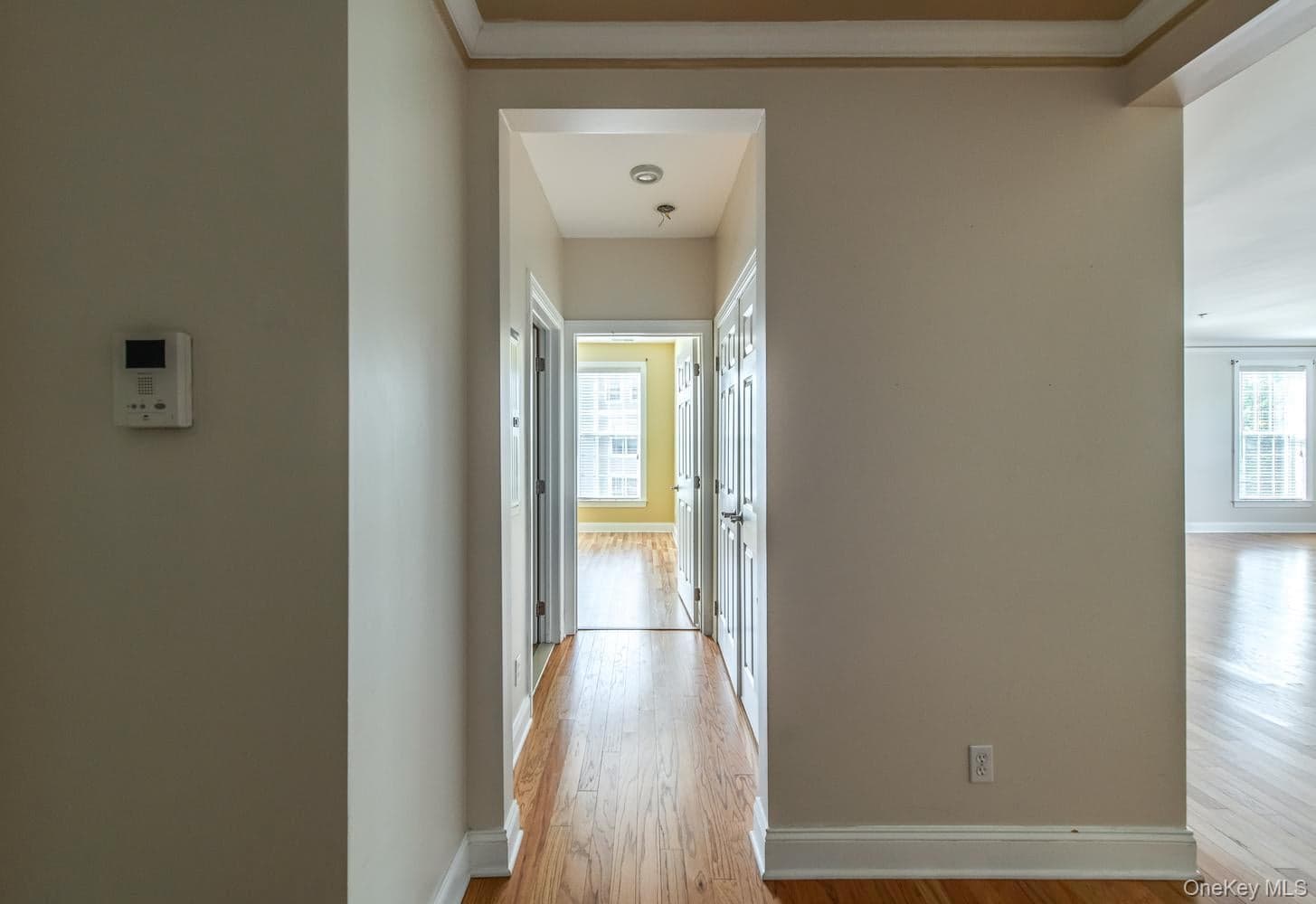 231 Regency Drive thumbnail 33