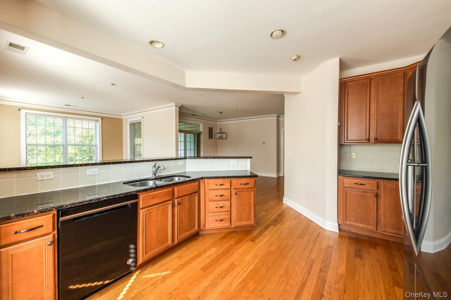 231 Regency Drive thumbnail 10